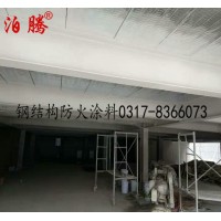 鋼結(jié)構(gòu)防火涂料生產(chǎn)廠家,鋼結(jié)構(gòu)防火涂料實體廠家